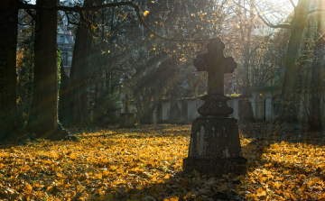 Tovább nőtt a természetes fogyás