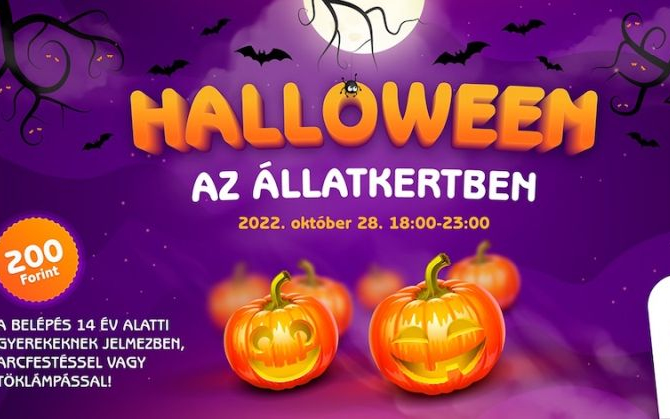 Halloweeni programokkal várja a látogatókat a Fővárosi Állatkert péntek este