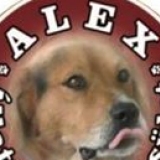 Alex Állatvédő Egyesület