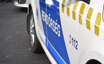 Három kutya támadt iskolába tartó gyerekekre