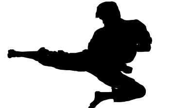 Beszámoló a Kyokushin Karate diákolimpia területi elődöntőjéről