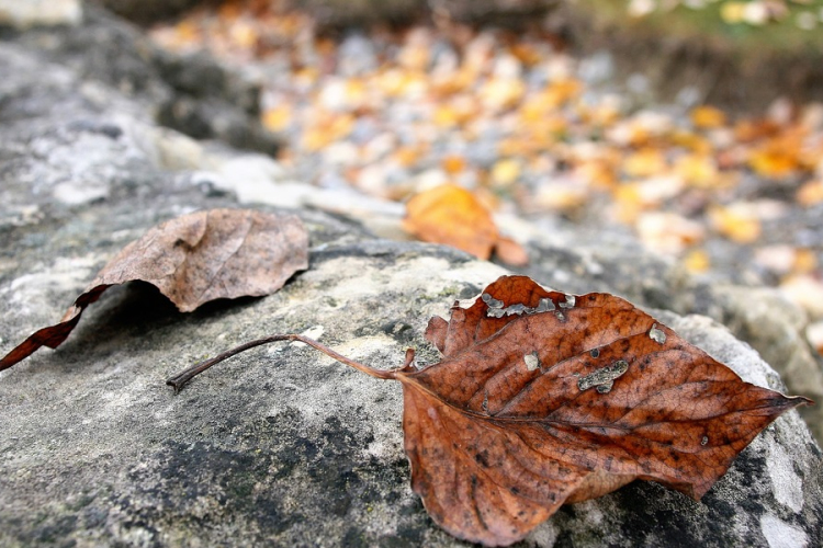Változékony lesz az idő november utolsó napjaiban
