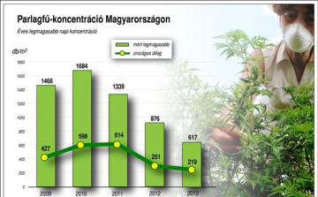 Már érdemes felkészülni a parlagfű-mentesítésre