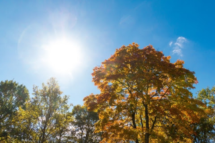 Meleg, napsütéses idő várható a hétvégén