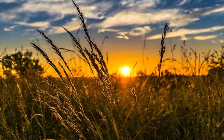 Napos, tavaszias idő várható az ünnepi hétvégén